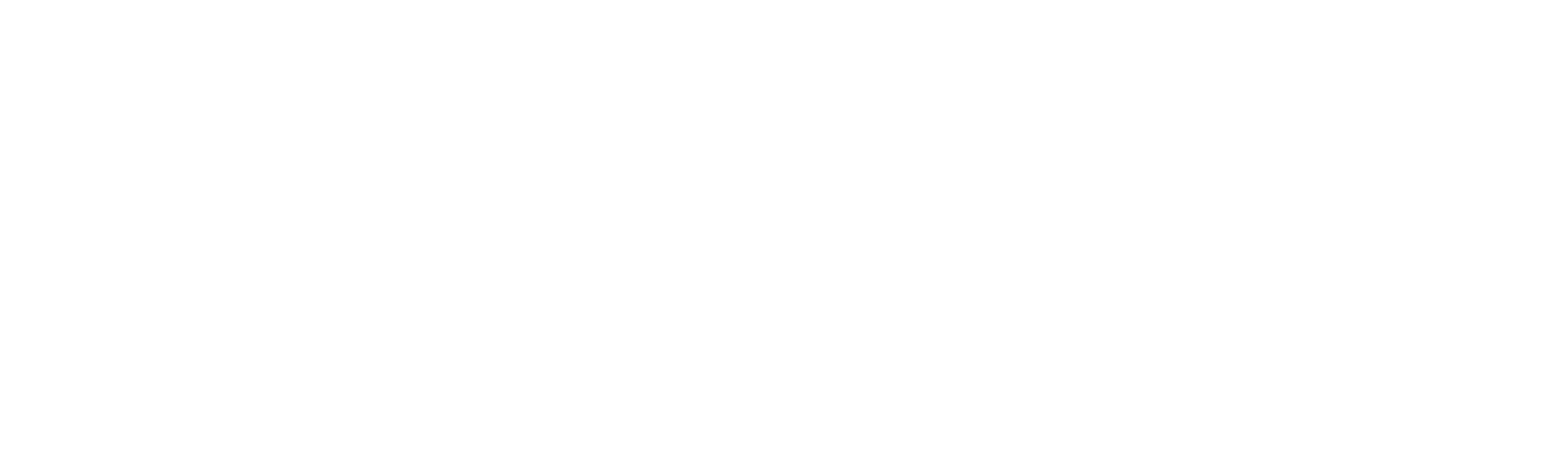 ZAR logo